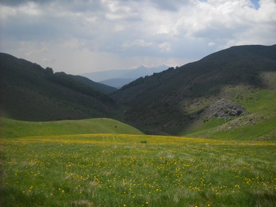 69. NP Mavrovo - pořád mezi cca 1600 - 2000m.n.m.jpg